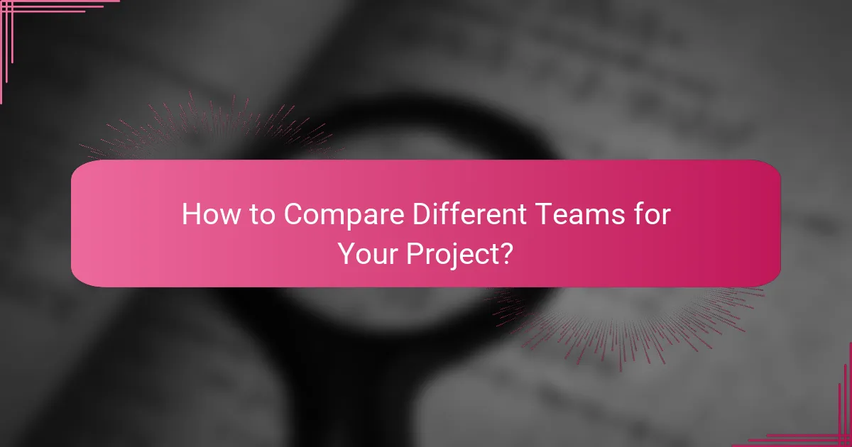 How to Compare Different Teams for Your Project?