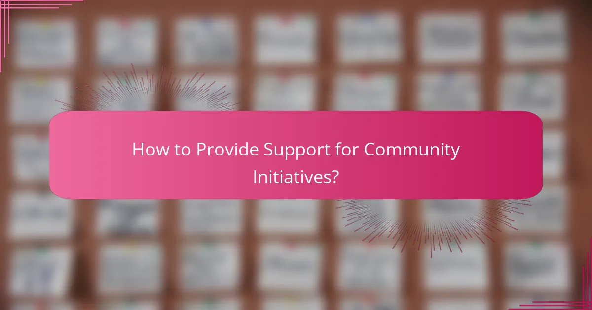 How to Provide Support for Community Initiatives?
