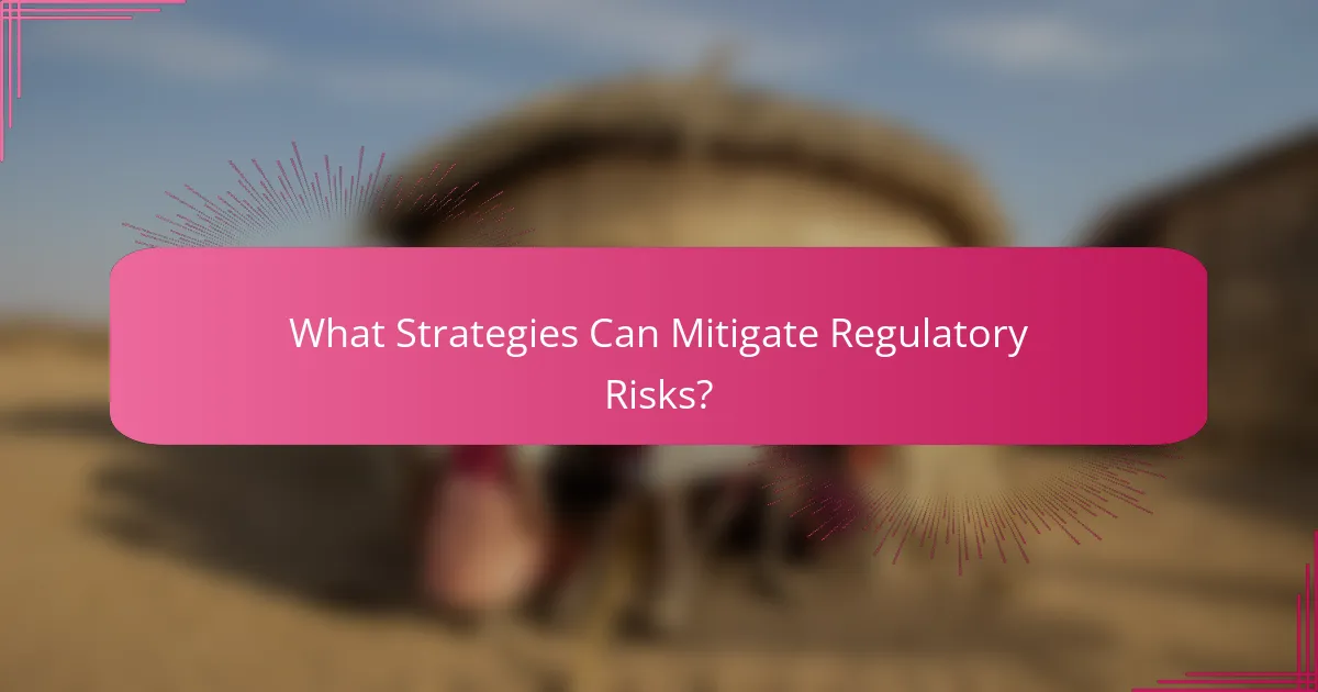 What Strategies Can Mitigate Regulatory Risks?